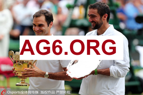 德甲第20轮霍芬海姆vs柏林联合全场比赛录像回放2026年2月1日